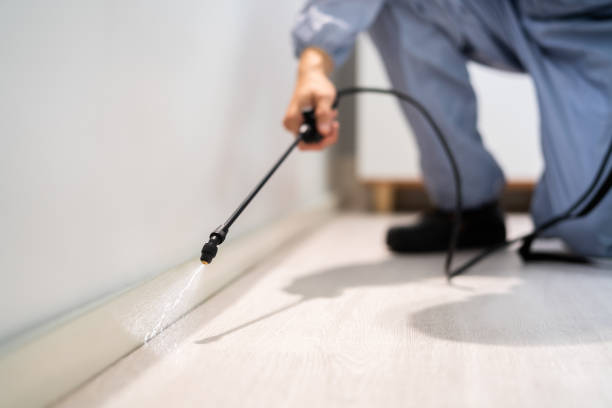 Rodent Entry Point Assessment in Portland