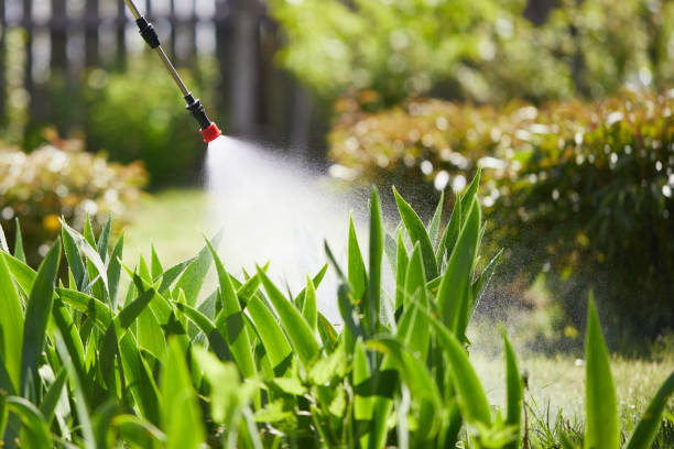 Tamper-Resistant Bait Stations for Rodents in Portland